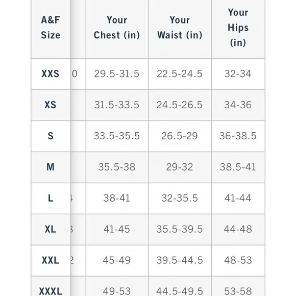 Abercrombie and Fitch Tie Front Scarf Midi Dress Italy Coastal Fruit Sz L NEW - Picture 13 of 13